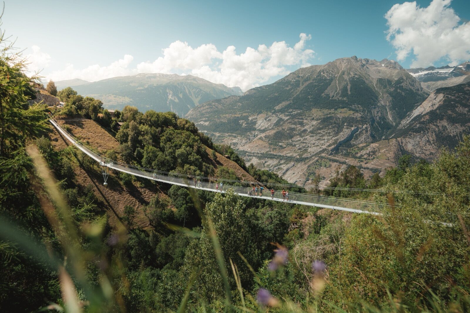 Suspension bridge over the Milibach