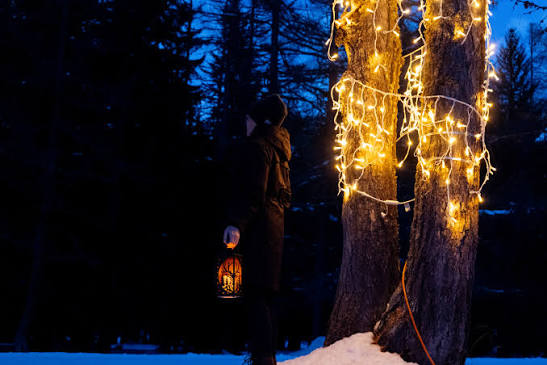 Floodlit night trail