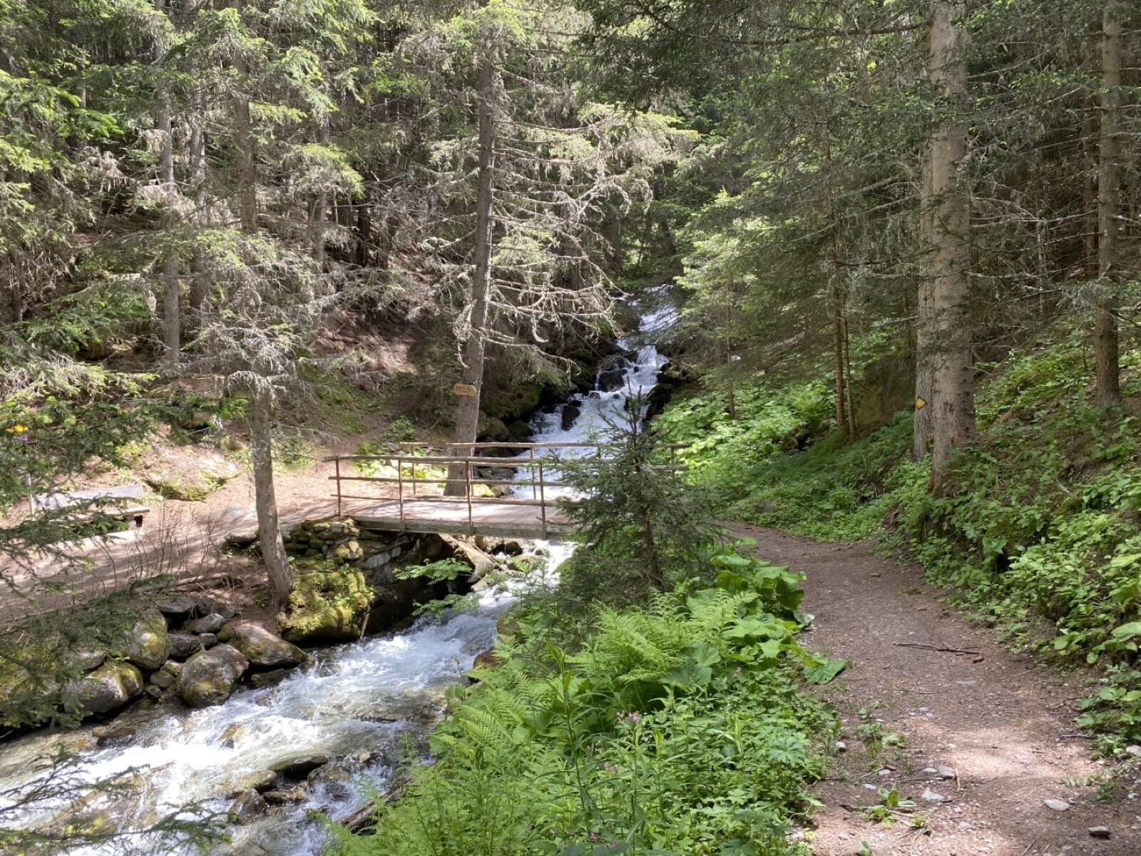 Circular walk to the Eischollalp