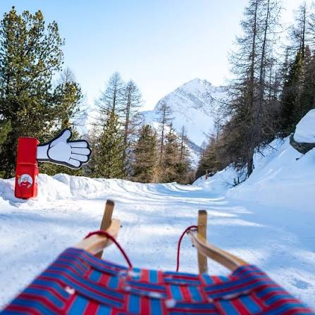 Tobogganing from the Bürchner Alp