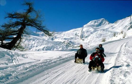 Toboggan runs in the Saastal