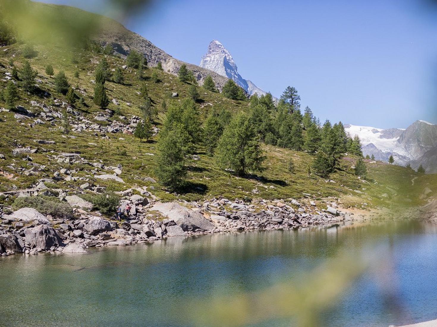 Five Lakes Walk, Marmot Trail and Flower Trail