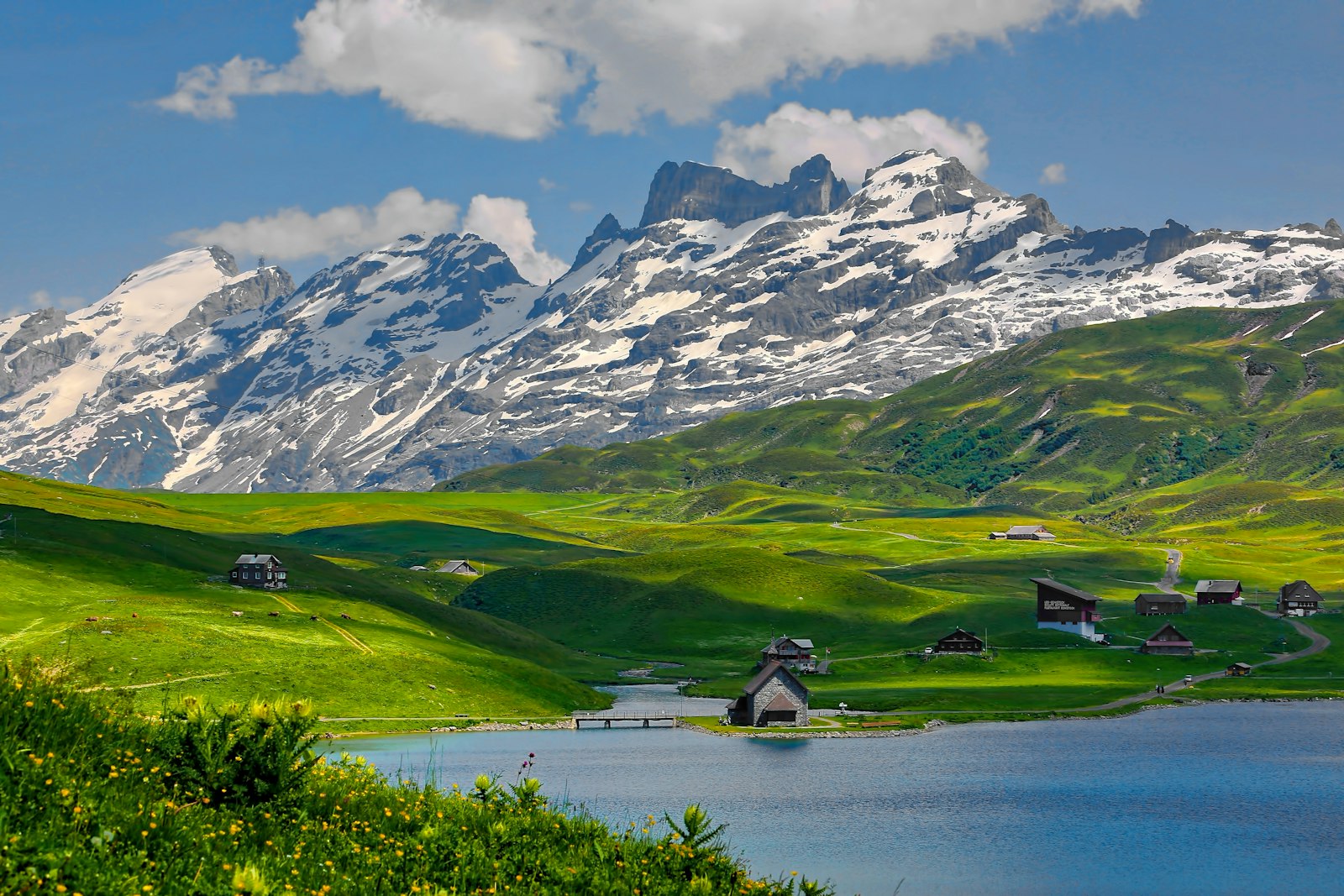 Villa Cassel and the Aletsch Forest