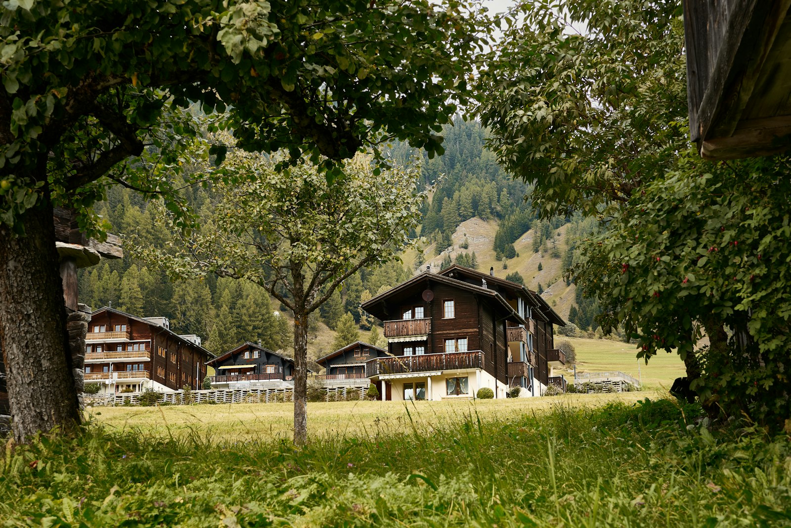 Tobogganing and free night sledging