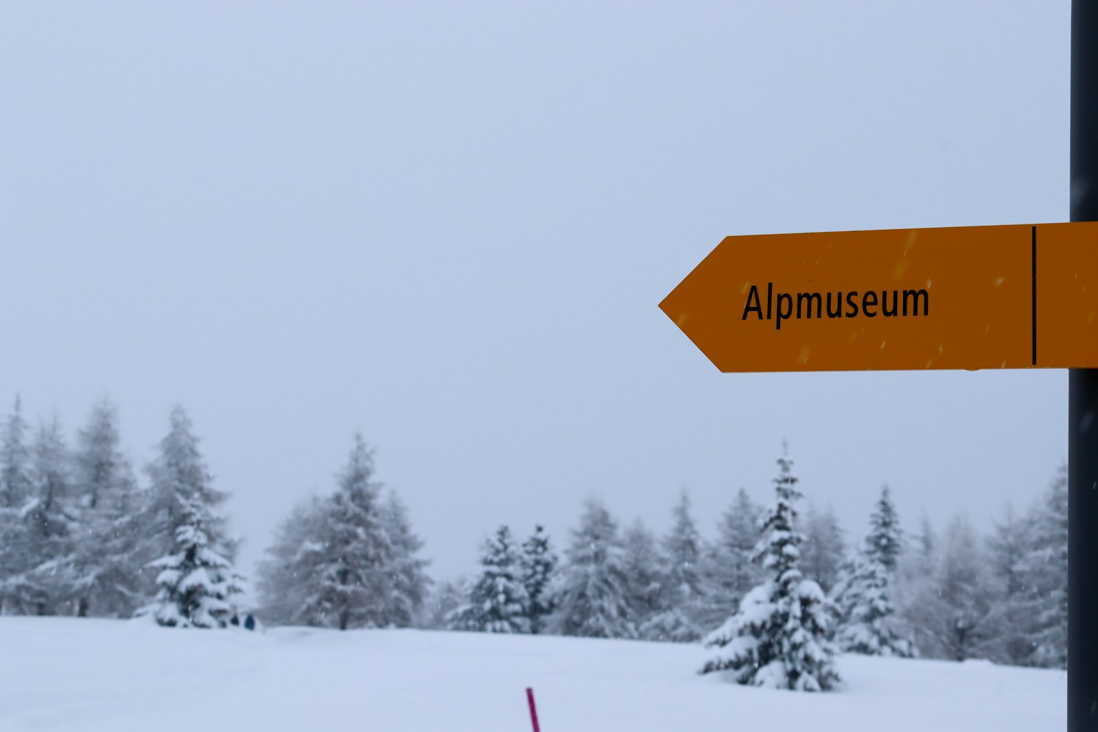 Bux cross-country ski trail
