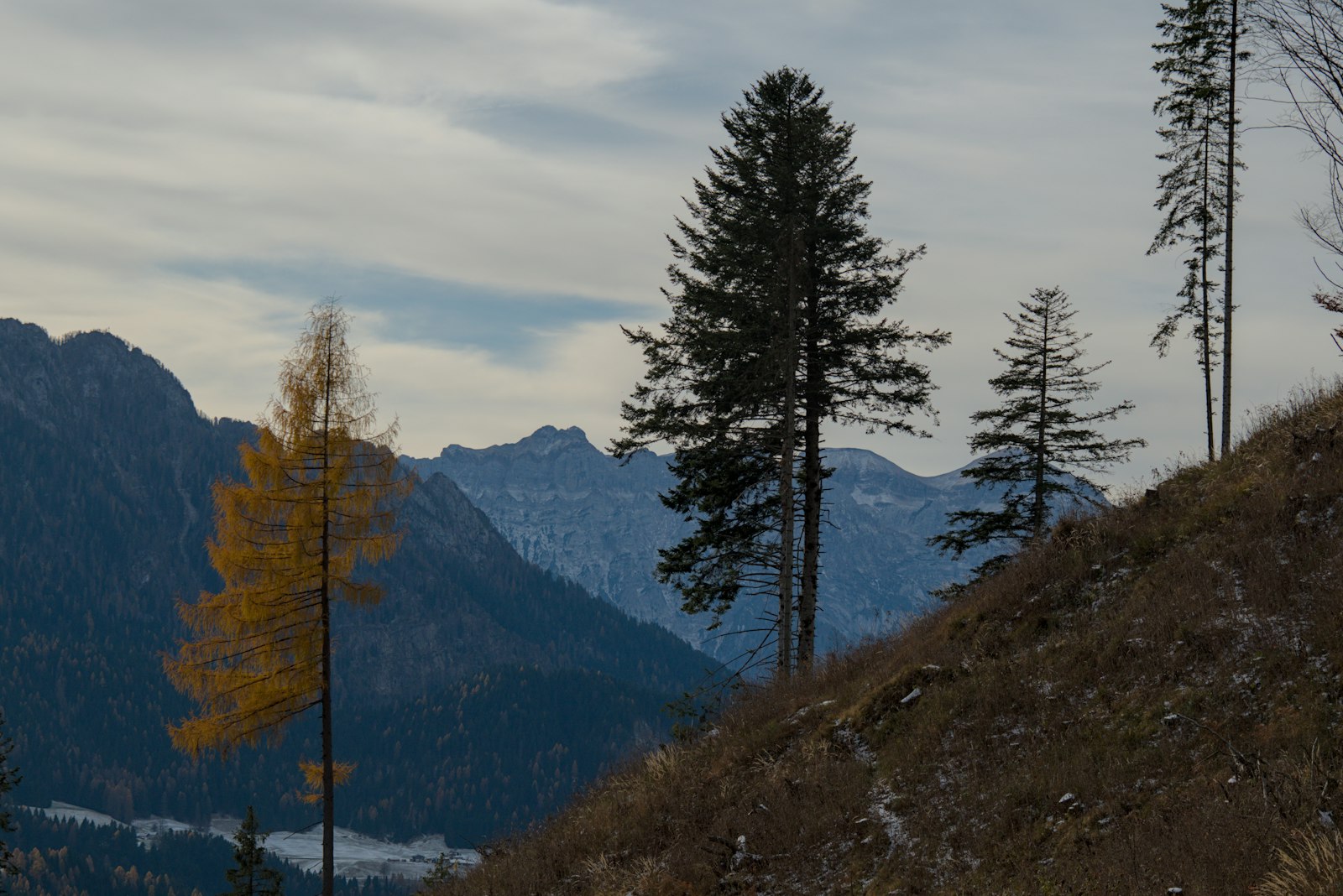 Skiing at Rothwald
